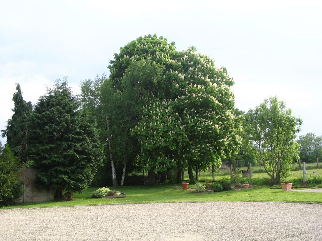 Huriel Les Malvaux B&B 외부 사진